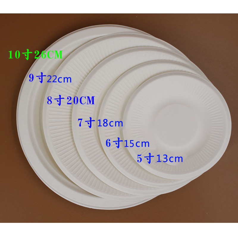 一次性纸盘 加厚食品级幼儿园手工空白白色碟子烧烤环保diy画画 - 图0