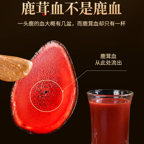 鹿茸血酒东北新鲜整支加酒保鲜片正品男士鹿酒滋补带血梅花鹿血酒 - 图1