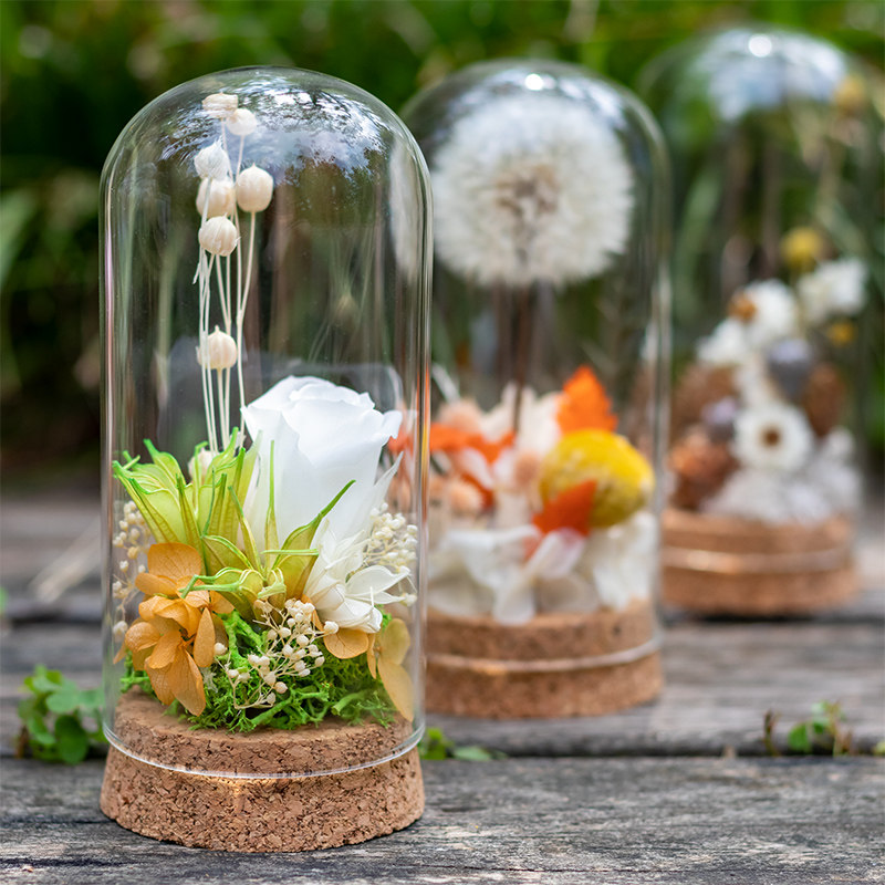 永生花玻璃罩小摆件微景观志愿者暖场沙龙团建活动diy手工材料包,淘宝优惠券,粉丝福利购,淘宝优惠卷