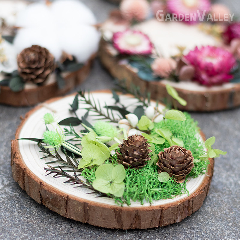 松木圆片天然贴画装饰儿童节亲子沙龙创意手工永生干花diy材料包,淘宝优惠券,粉丝福利购,淘宝优惠卷