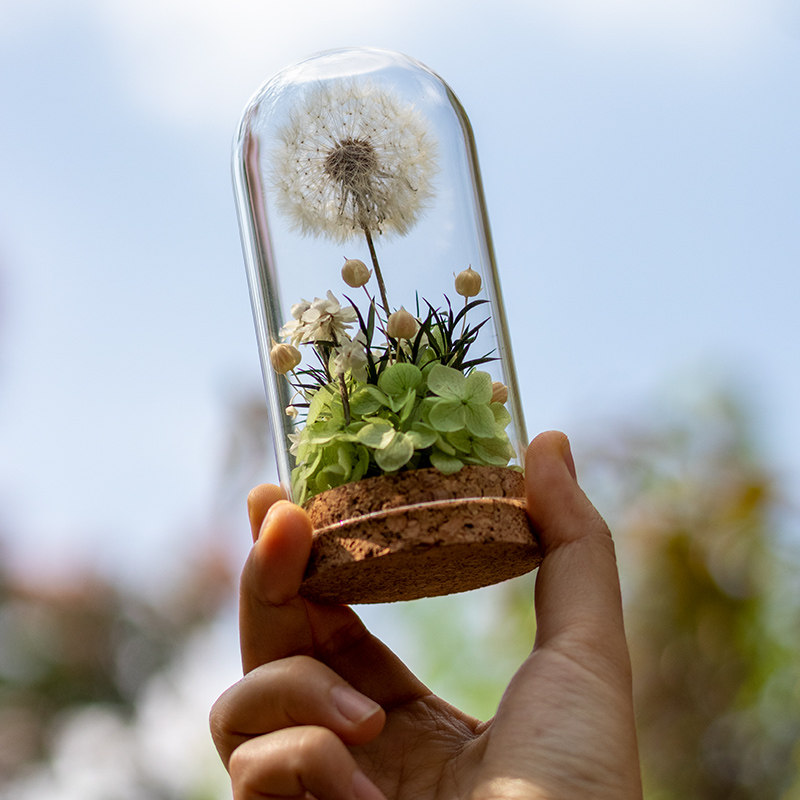 永生花玻璃罩小摆件微景观志愿者暖场沙龙团建活动diy手工材料包,淘宝优惠券,粉丝福利购,淘宝优惠卷