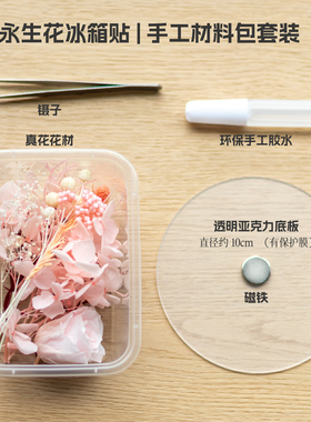 永生干花果实磁力冰箱贴材料包