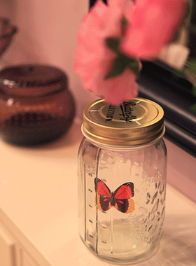 创意蝴蝶罐 Butterfly jar 超蝶 会飞的蝴蝶 生日礼物 许愿瓶带灯