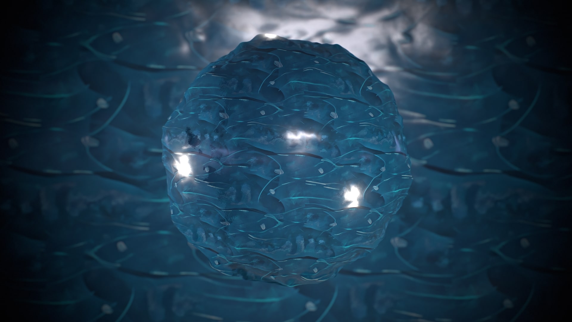 UE4虚幻5 Stylized Water Material Pack 1 风格化水材质包 - 图2