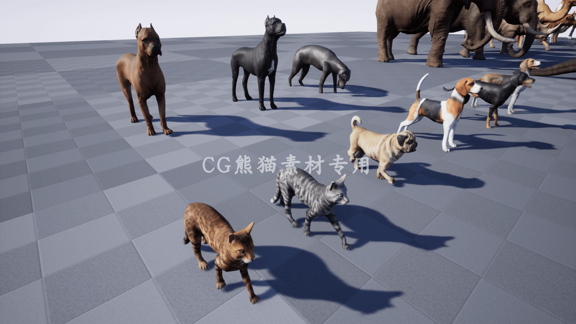 UE4虚幻5 Animal Pack Ultra 2  写实各类动物合集动画 - 图0