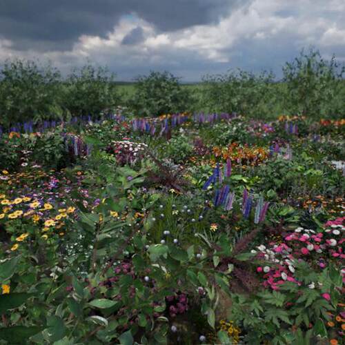 UE4虚幻5 Flowers and Plants Nature Part 1 花卉自然植物花草 - 图1