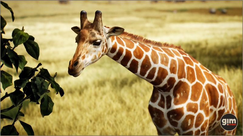 UE4虚幻5 Animalia - Giraffe (male) 雄性长颈鹿模型带动画 - 图1