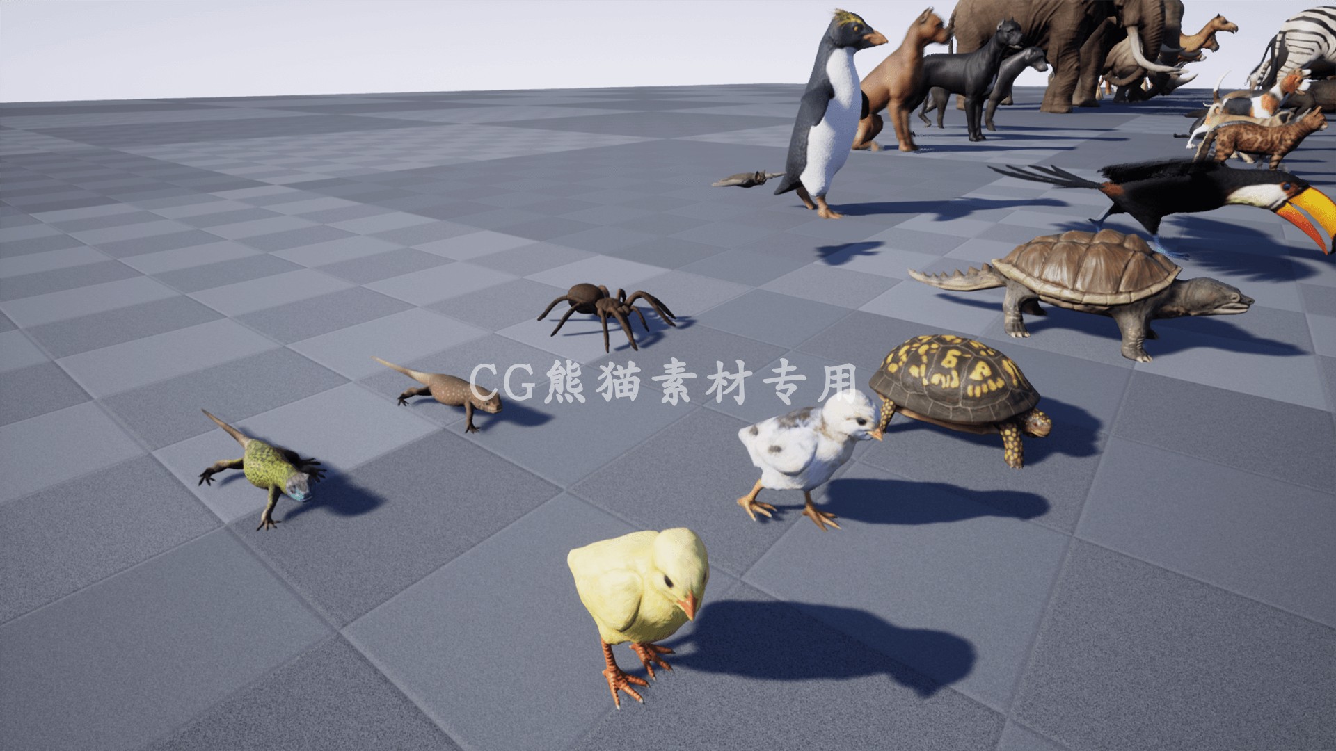 UE4虚幻5 Animal Pack Ultra 2  写实各类动物合集动画 - 图2