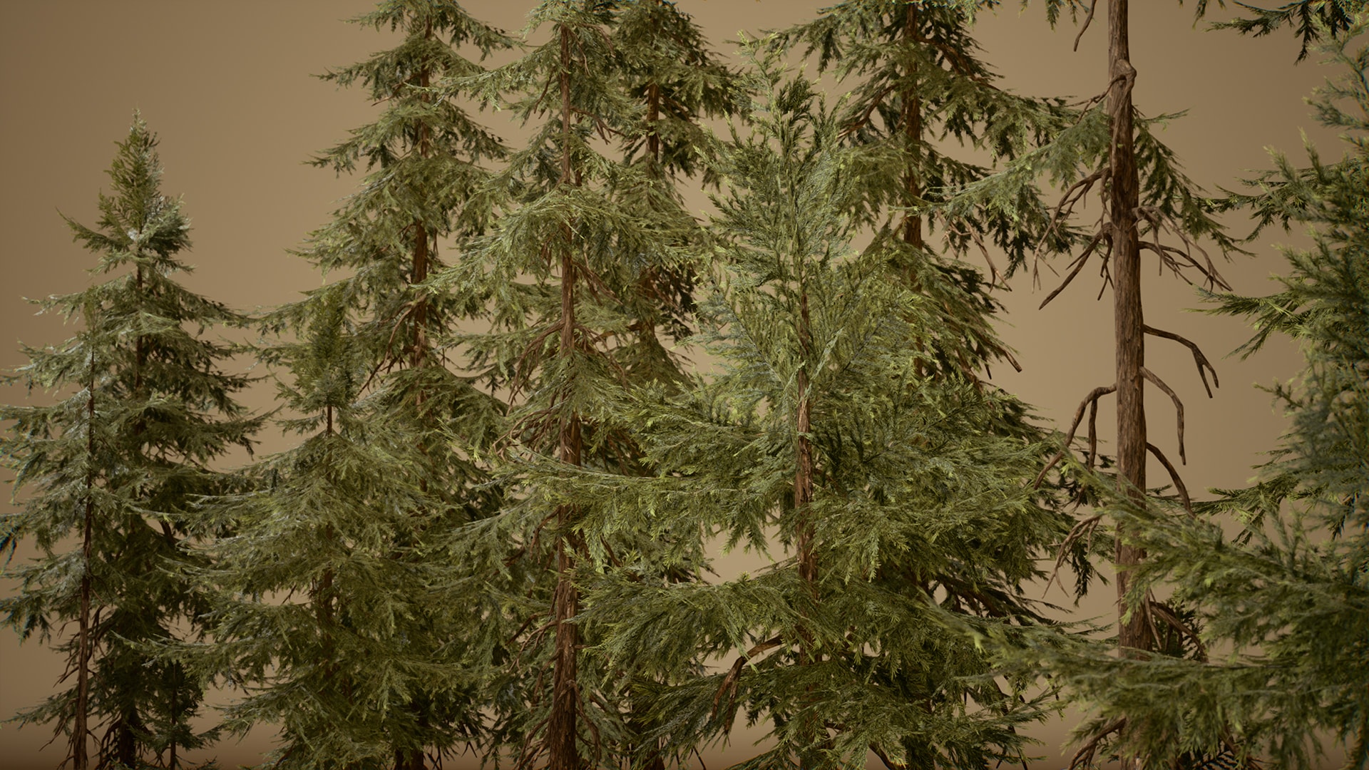 UE5虚幻5 Foliage VOL.4 - Spruce Trees (Nanite and Low Poly) - 图1