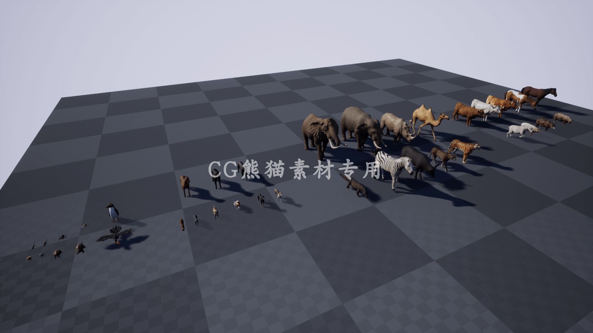 UE4虚幻5 Animal Pack Ultra 2  写实各类动物合集动画 - 图1