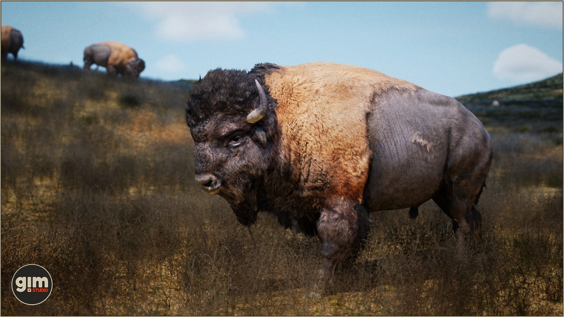 UE4虚幻5 Animalia - American Bison (male) 美洲公野牛角色模型 - 图2