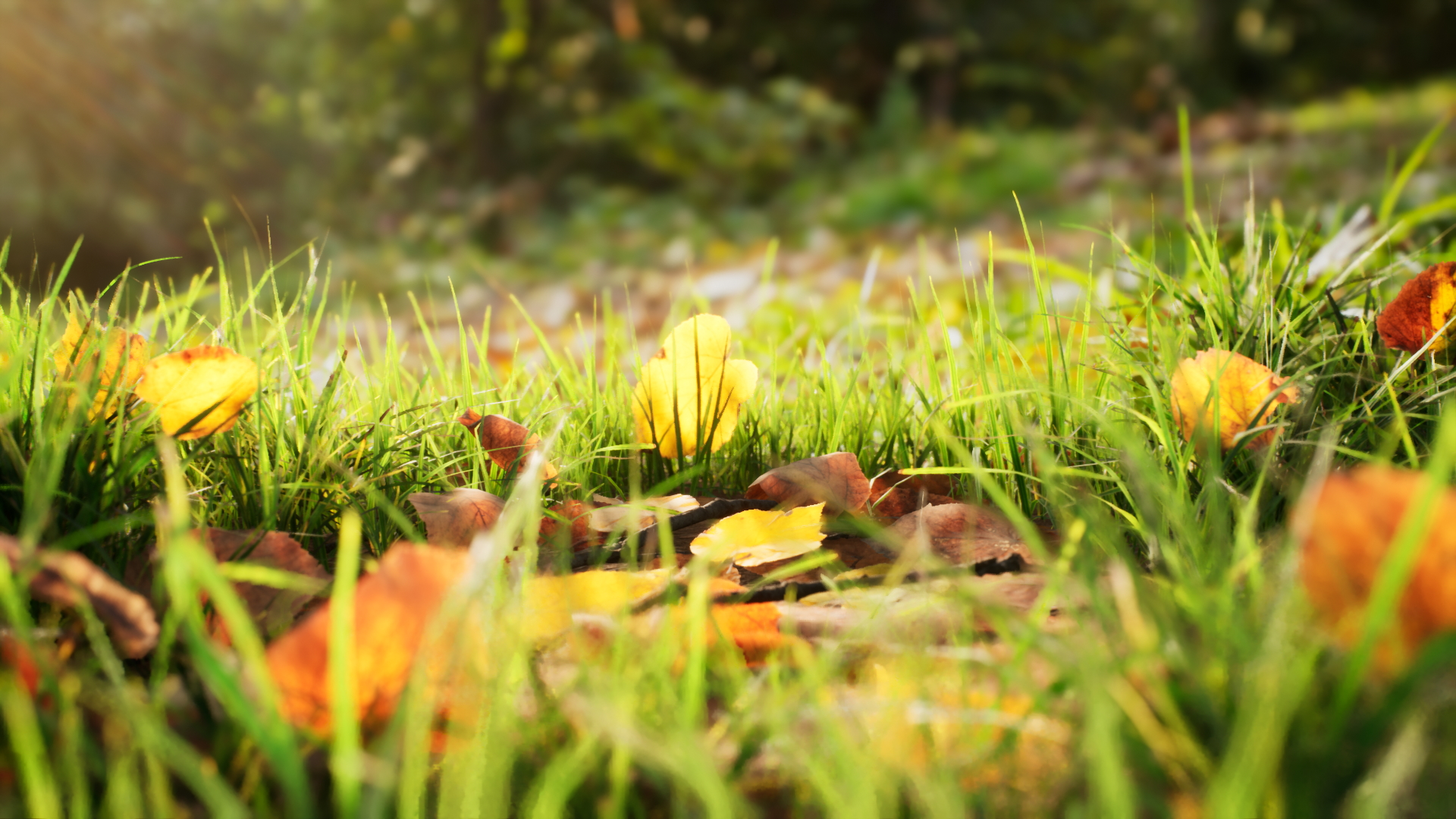 UE4虚幻5 Broadleaf Undergrowth 灌木丛落叶植被随风飘扬道具 - 图0