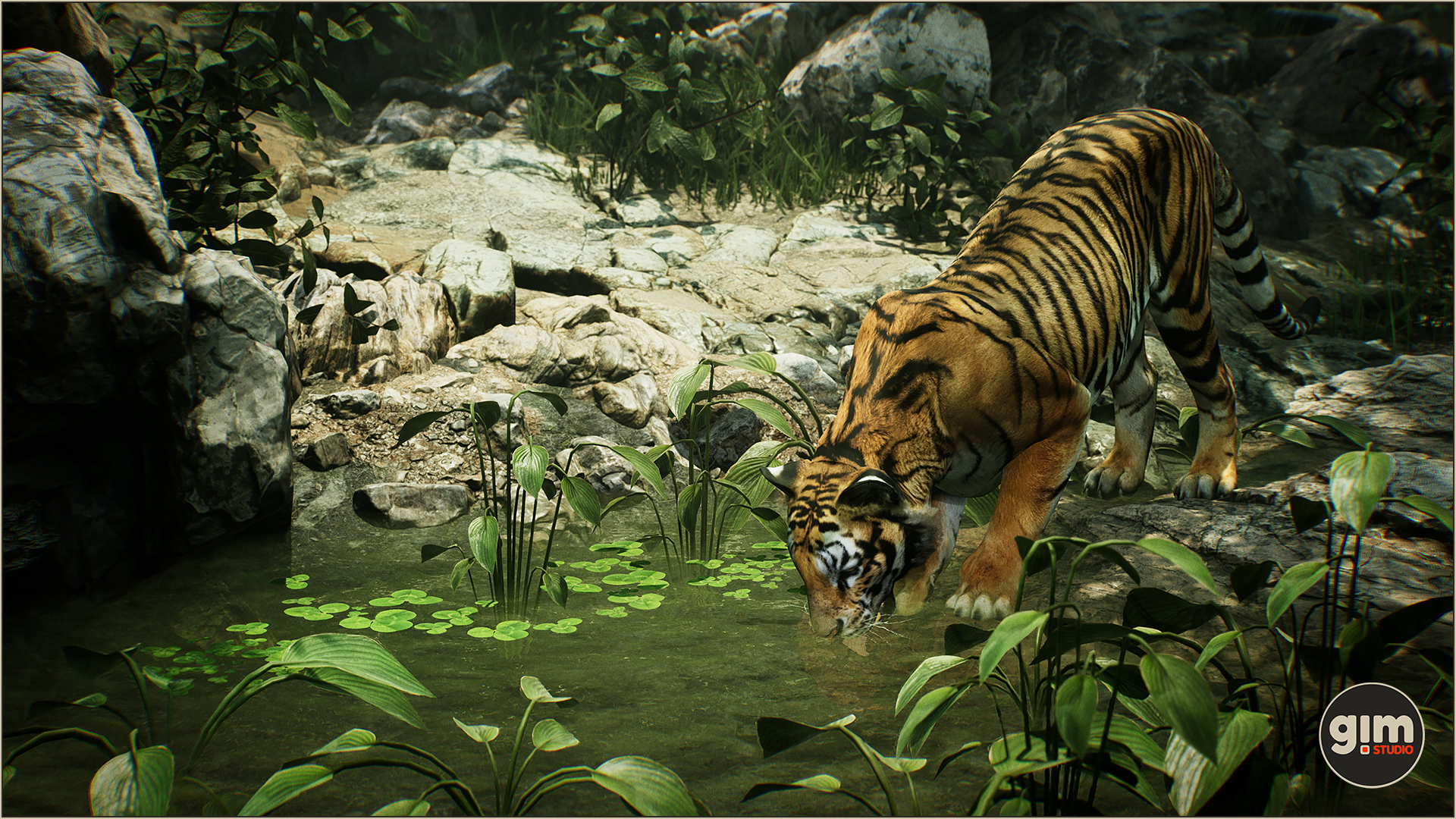 UE4虚幻5 Animalia - Tiger (male) 成年老虎模型带动画GIM - 图1