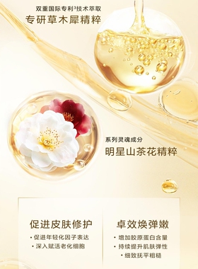 奢华养肤焕颜修护精华蜜滋养提亮