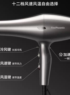 火之凤6200H吹风机发型师专用无刷电机轻量级 大风力2400W大功率