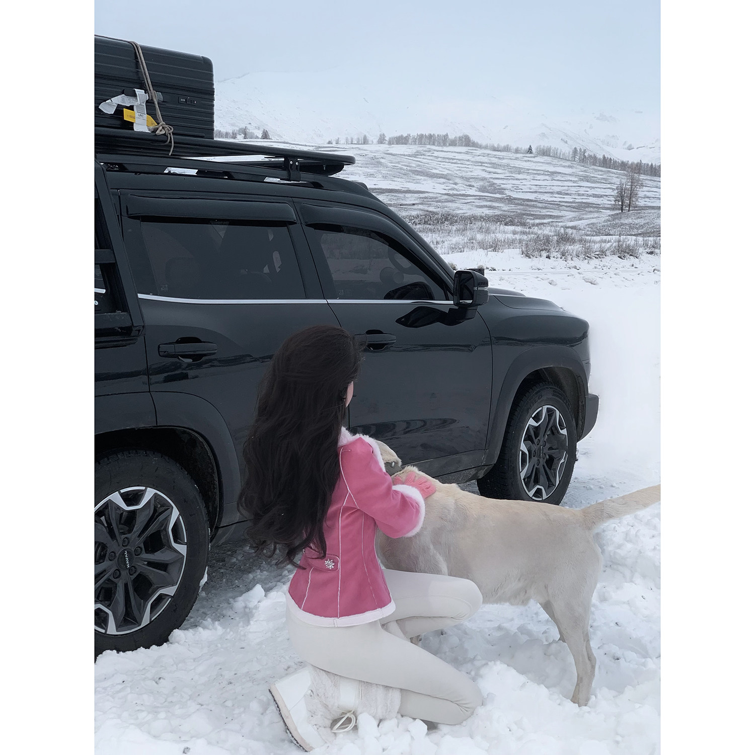 Sun雅乔【蔷薇庄园】冬长袖修身皮毛一体大翻领仿羊羔毛短外套女,淘宝优惠券,粉丝福利购,淘宝优惠卷