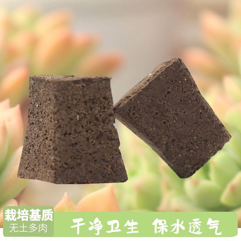 生物炭绵无土多肉栽培基质海绵控养育苗块种植碳棉营养土盆栽,淘宝优惠券,粉丝福利购,淘宝优惠卷
