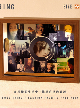 那英周边音乐专辑相框创意桌面礼物造景摆件生日礼品送男生女生