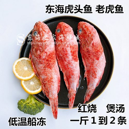 新货东海老虎鱼新鲜虎头鱼冷冻水产品海鲜深海鱼海捕1到2条少刺 - 图0