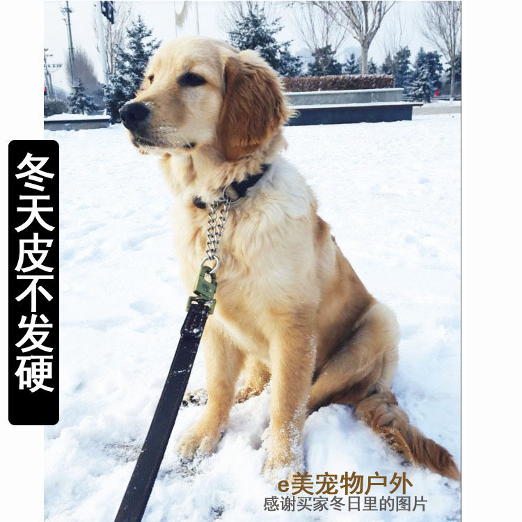 真皮狗项圈不锈钢P链金毛哈士奇拉布拉多中大型通用脖圈狗圈颈圈_虎窝淘