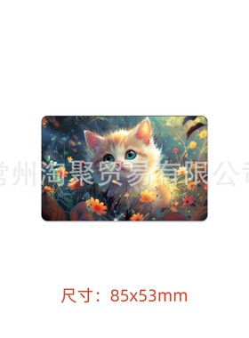 可爱动物信用卡贴纸借记卡交通卡个性化银行卡防刮防滑防水贴纸