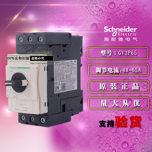 法国进口施耐德电动机断路器 GV3P65 48-65A GV3-P65 原装正品 - 图0