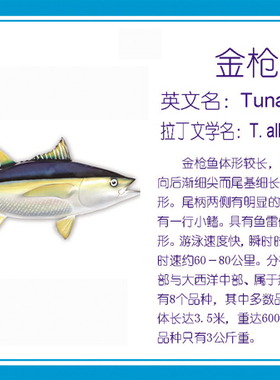 模型仿真挂件装饰品新品