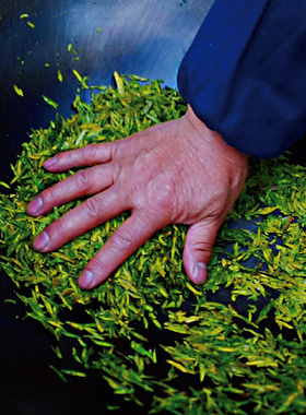 2026年西湖龙井新茶狮峰山绿茶特级明前雨前精选春茶礼盒装250g