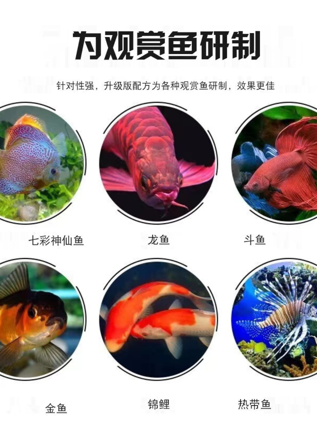 黄粉鱼缸用水族鱼用烂尾蒙眼杀菌消毒立鳞水霉病白点白毛烂肉充血 - 图0