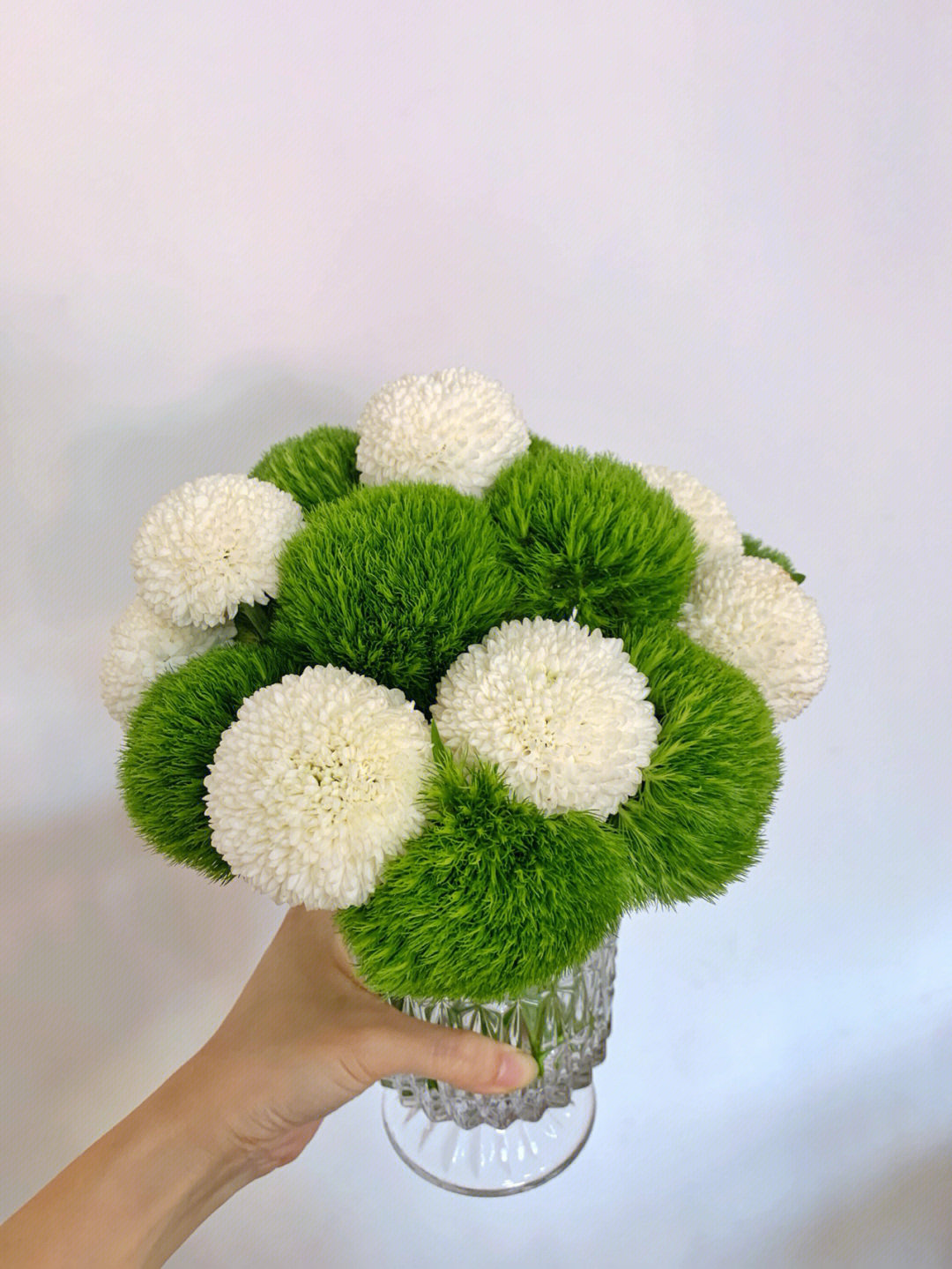 昆明网红鲜花基地直发乒乓菊绿毛球真花水养插花超长花期特价包邮