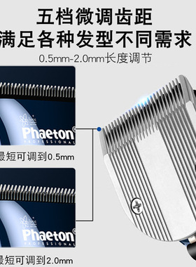 火之风公司PhaetonT10理