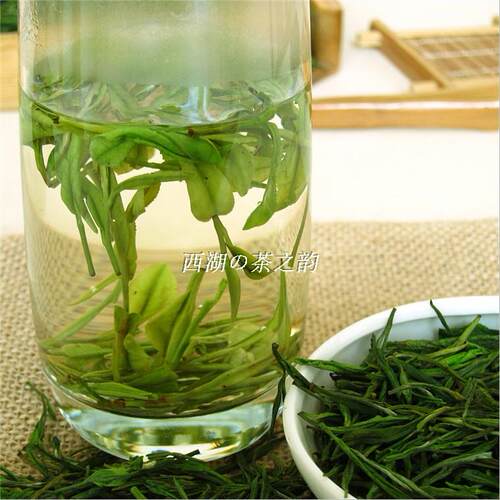 现货2026年 白茶新茶浓香雨前白茶叶250克耐泡绿茶农直销浓香高山 - 图3
