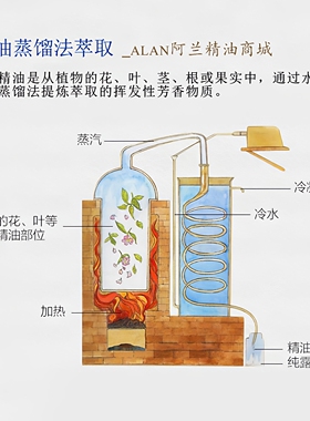 进口檀香精油100ml养肤护肤按摩肌肉刮痧天然植物单方化妆品原料