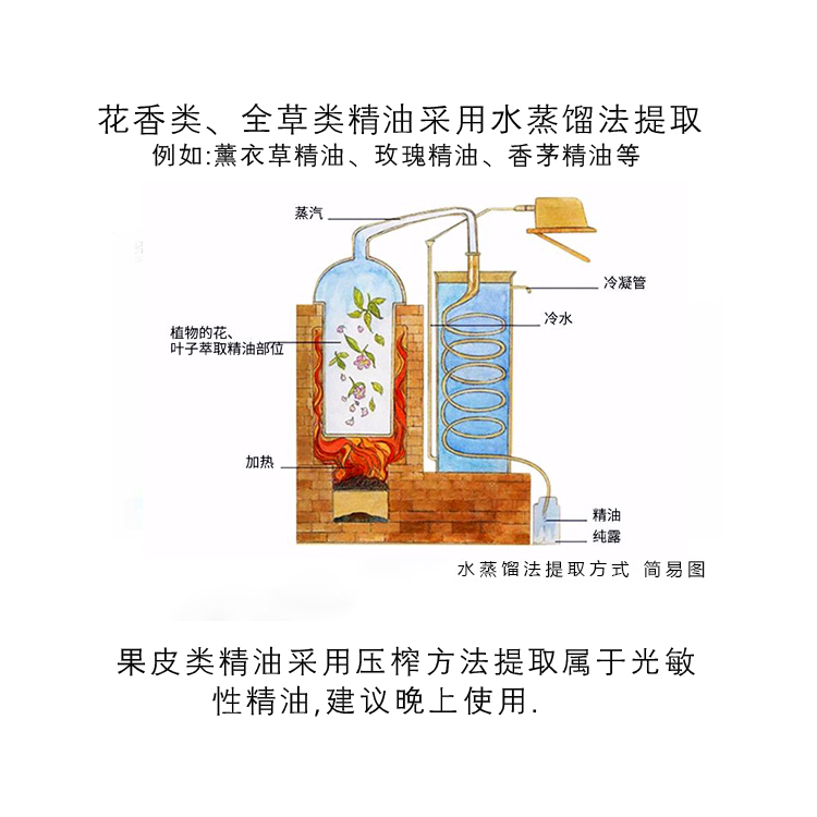 印度岩兰草精油50ml香根草精油单方镇静缓解压力助眠缓解肌肉酸痛-图0