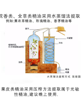 印度岩兰草精油30ml香根草精油单方缓解压力帮助睡眠香薰按摩原料