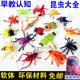 Simulated soft rubber large insect animal model children's toy