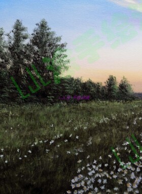 手绘油画 装饰画 40*60cm 晚霞 小路 田野 LJL涂