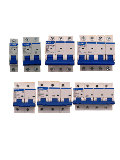 正泰NXB空气开关32a2p家用空开小型断路器总开电闸63a100a125dz47