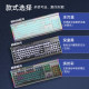 HP GK520S mechanical keyboard with cool RGB lighting effects