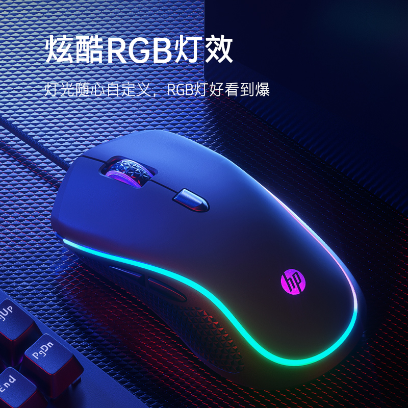 HP Mouse Live HP Internet Cafe Typing Peripheral