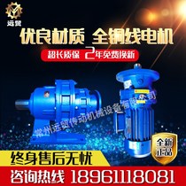 Changzhou Planetary cycloidal pin wheel reducer upright stirring horizontal pendulum needle reducer with national standard copper wire motor