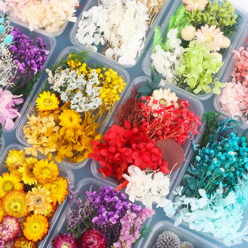 天然干花永生花假花仿真花儿童手工diy团扇材料包母亲节礼物 - 图1