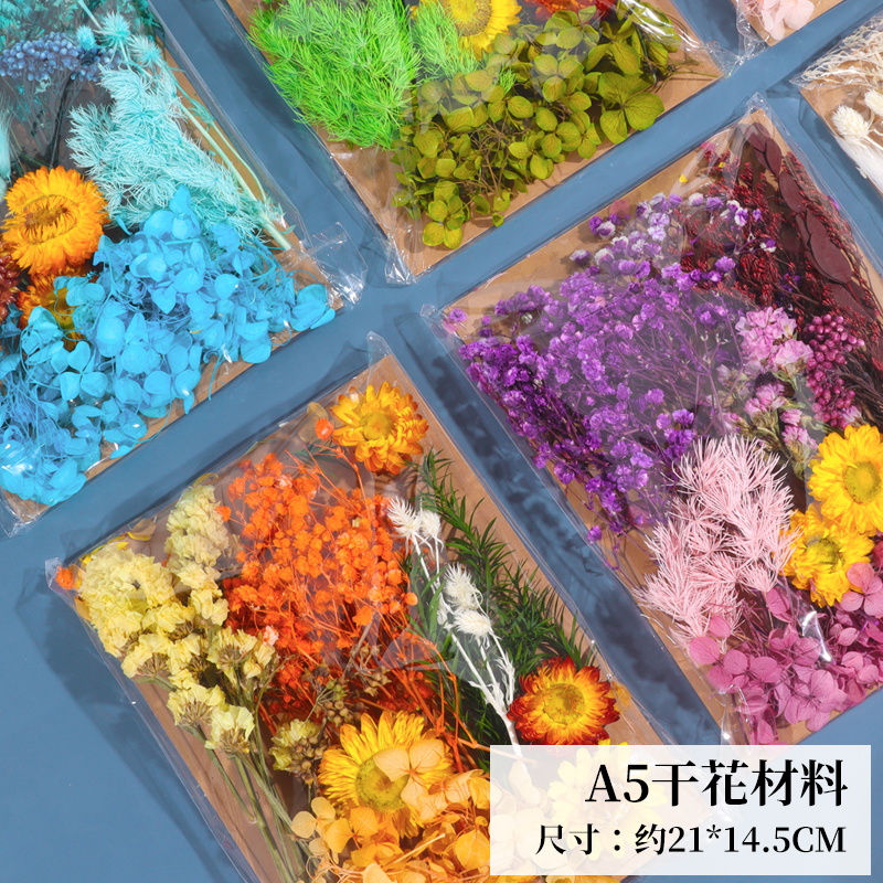 天然干花永生花假花仿真花儿童手工diy团扇材料包干花贺卡幼儿园 - 图2