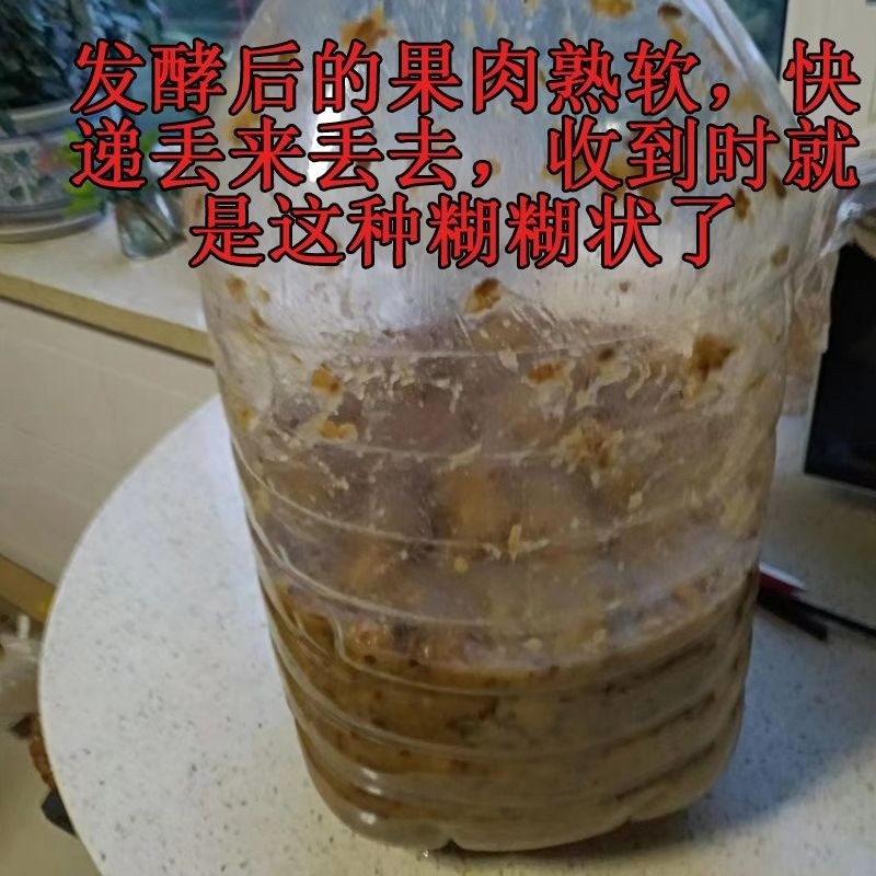 全白熟果）2桶20斤共40斤诺丽果鲜发酵果熟白软果海南新鲜水果-图2