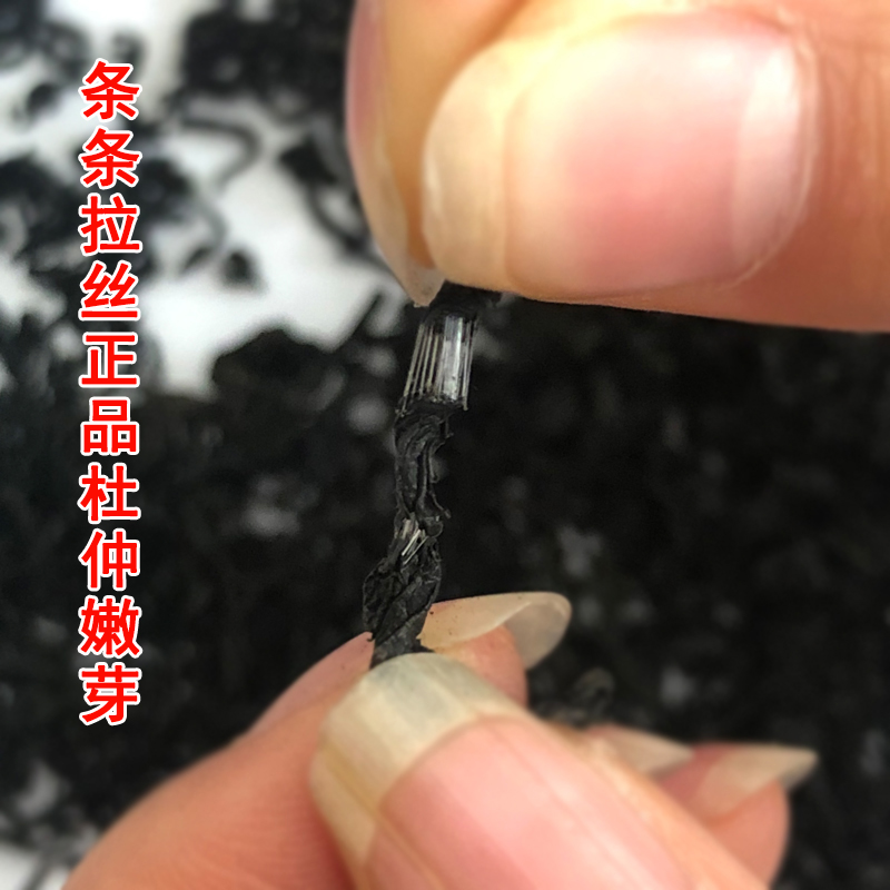 【买1发2】湖南张家界杜仲茶杜仲嫩芽正品杜仲叶非杜仲雄花茶-图0