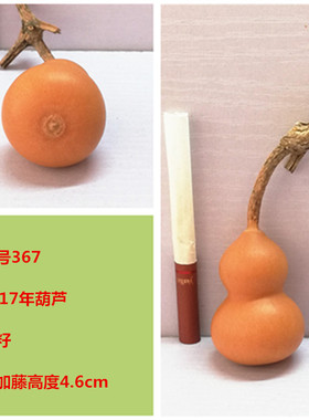 2016年天然葫芦收藏一物一图把玩
