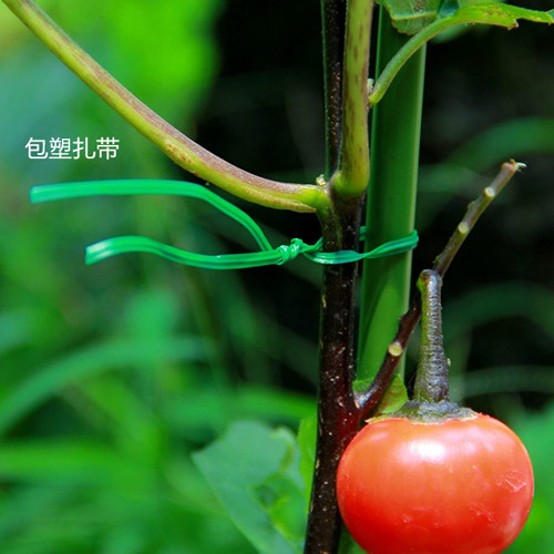 园艺绑扎用品麻绳扎带藤本固定扣蝴蝶圈爬藤植物用包塑扎线麻线团,淘宝优惠券,粉丝福利购,淘宝优惠卷