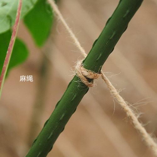 园艺绑扎用品麻绳扎带藤本固定扣蝴蝶圈爬藤植物用包塑扎线麻线团,淘宝优惠券,粉丝福利购,淘宝优惠卷