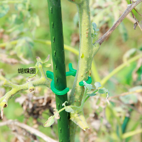 园艺绑扎用品麻绳扎带藤本固定扣蝴蝶圈爬藤植物用包塑扎线麻线团,淘宝优惠券,粉丝福利购,淘宝优惠卷