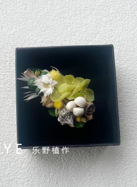 植物胸针果实永生花真花胸花